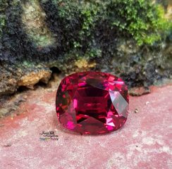 Garnet 1
