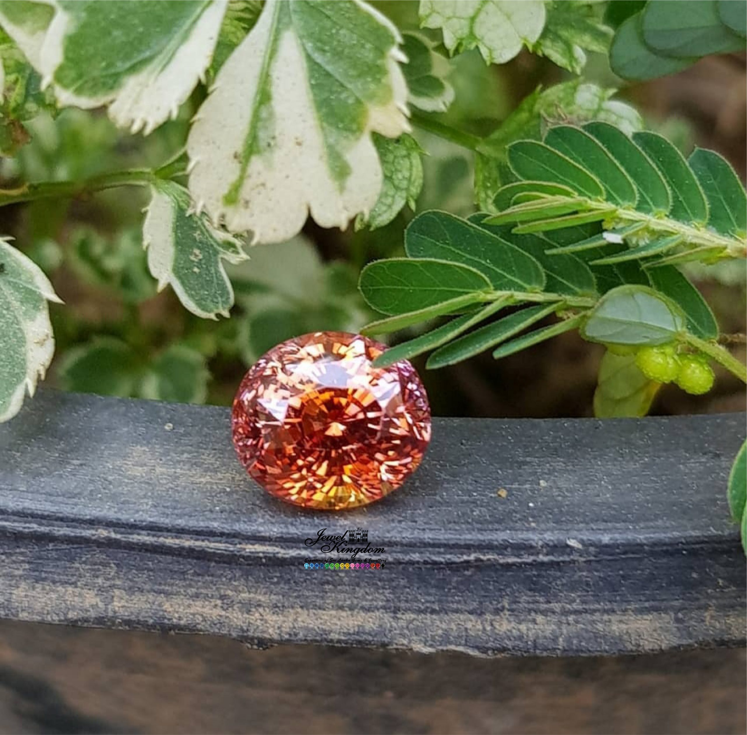 Padparatcha Sapphire 1