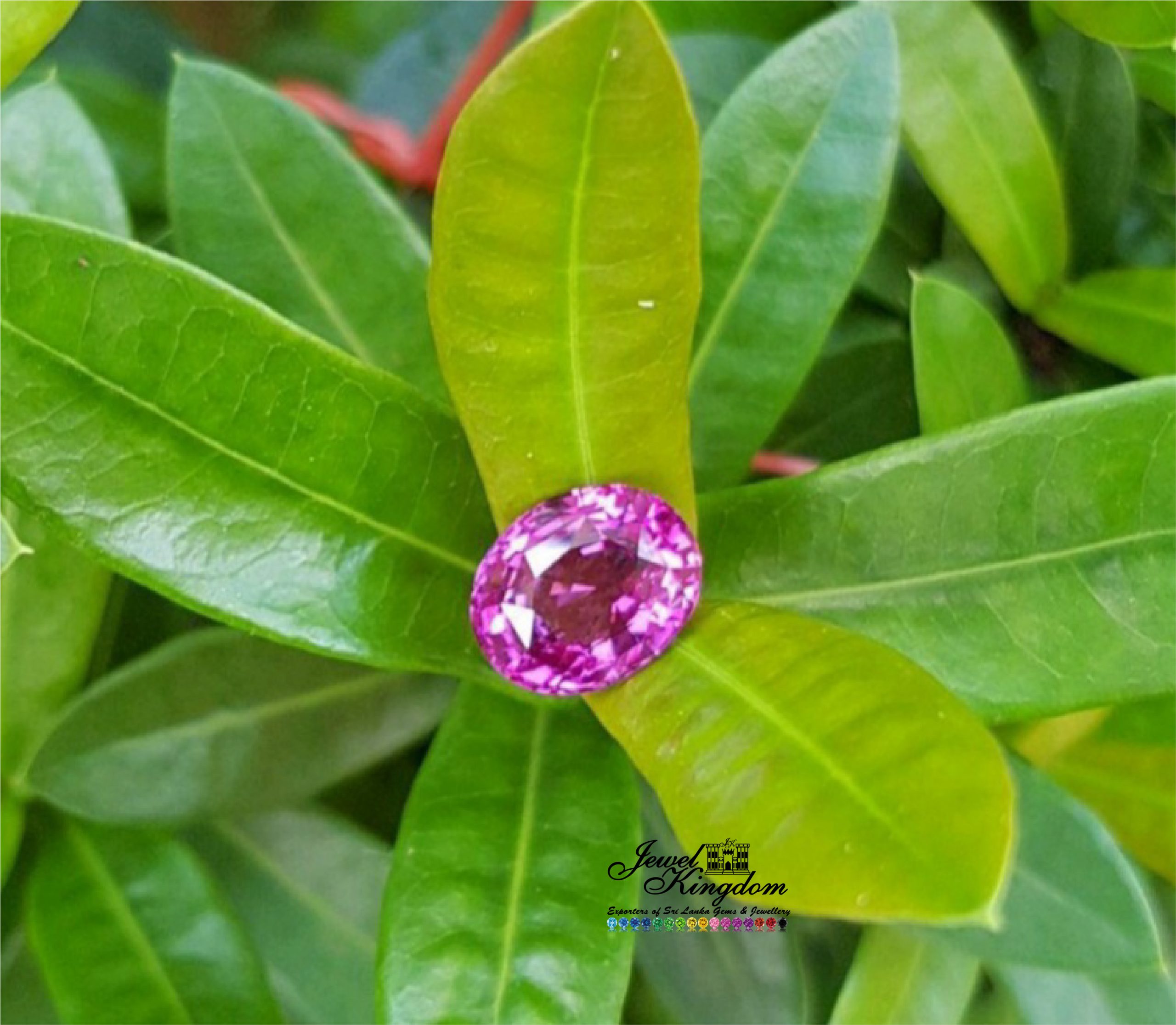 Pink Sapphire 4