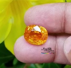 Yellow Sapphire 1
